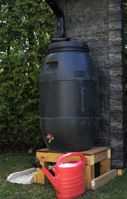 Baril collecteur d'eau avec dos plat, capcité de 50 gallons